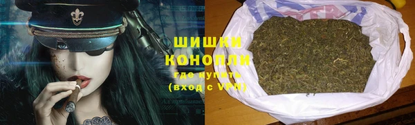 ГАЛЛЮЦИНОГЕННЫЕ ГРИБЫ Балахна
